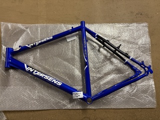 Racefiets frame met voorvork, Intersens